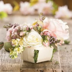 Brand new 🧨 Chipwood Baskets - 12 Pc. 😍 -Spring Craft Shop chipwood baskets 12 pc 13745510 a02