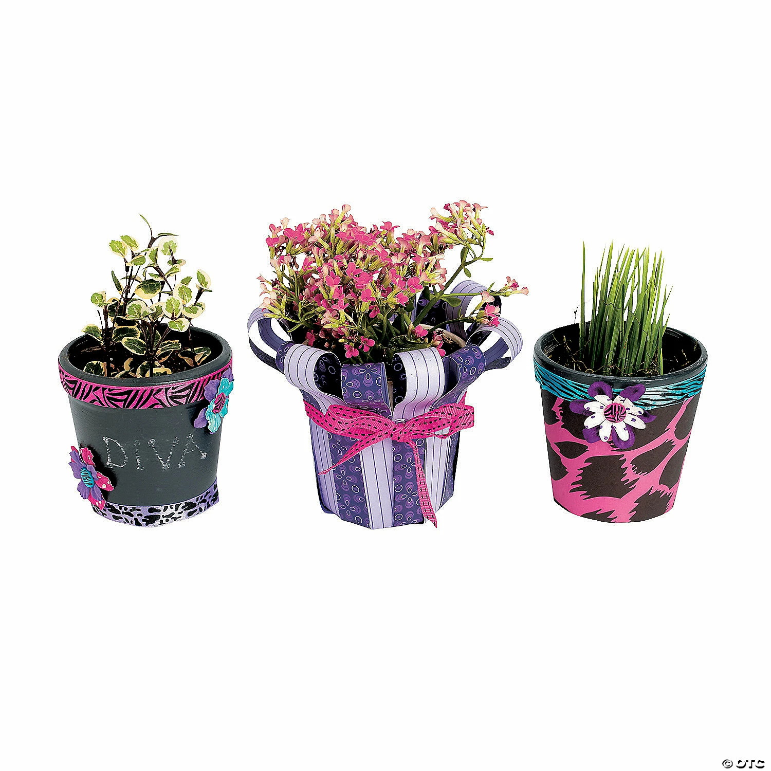 Discount โ๏ธ DIY Ceramic Flowerpots - 12 Pc. ๐ 6 Discount โ๏ธ DIY Ceramic Flowerpots - 12 Pc. ๐ - Image 4