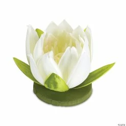Coupon 🥰 Melrose International Ivory Lotus Pod Tabletop Décor, 4 Inches (Set of 12) ⌛