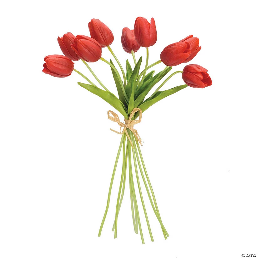 Coupon π Melrose International Red Tulip Bundle, 15 Inches (Set of 6) β 3 Coupon π Melrose International Red Tulip Bundle, 15 Inches (Set of 6) β