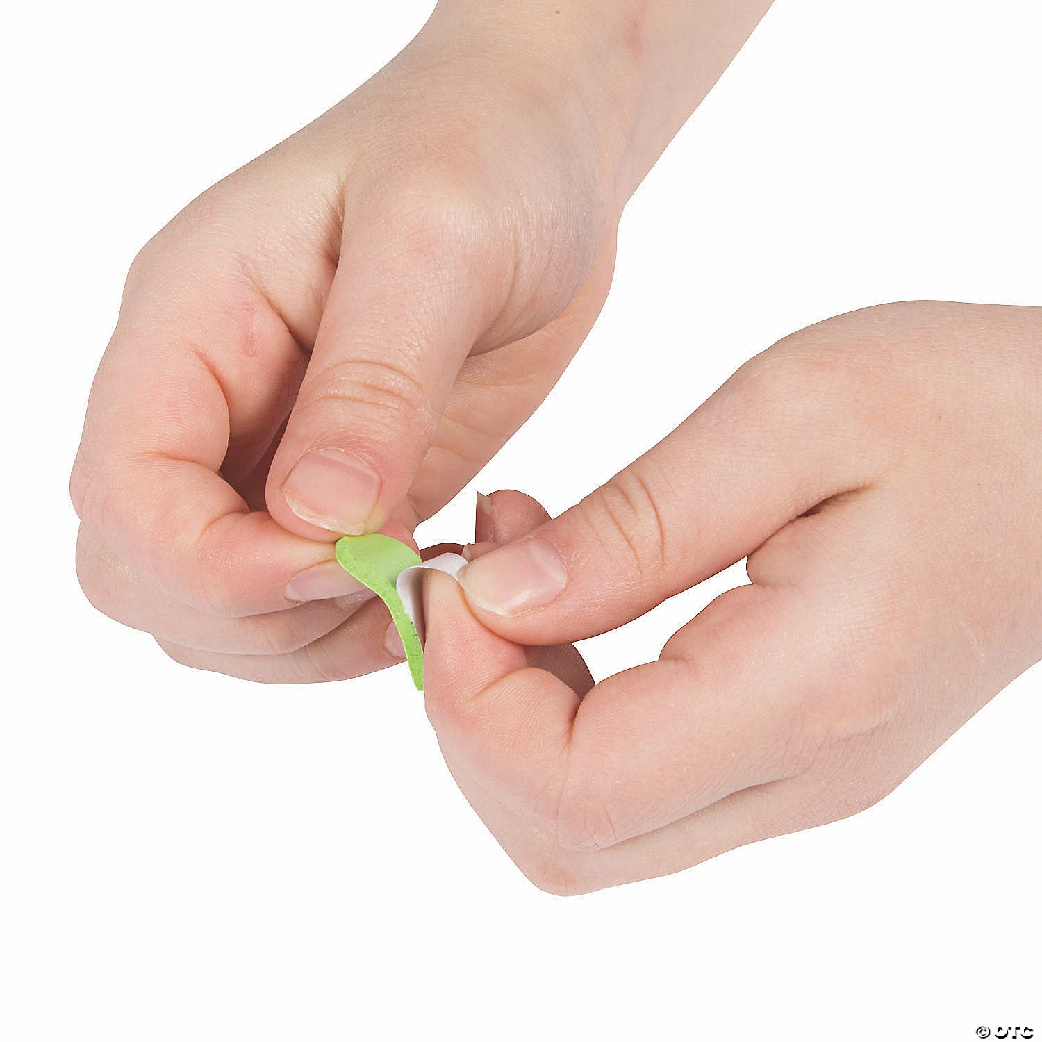 Wholesale โ๏ธ Spring Bird Nest Sign Craft Kit - Makes 12 ๐ 5 Wholesale โ๏ธ Spring Bird Nest Sign Craft Kit - Makes 12 ๐ - Image 3