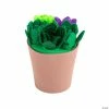 New π Succulent Plant Craft Kit - Makes 3 𧨠1 New π Succulent Plant Craft Kit - Makes 3 𧨠-Spring Craft Shop succulent plant craft kit makes 314097025
