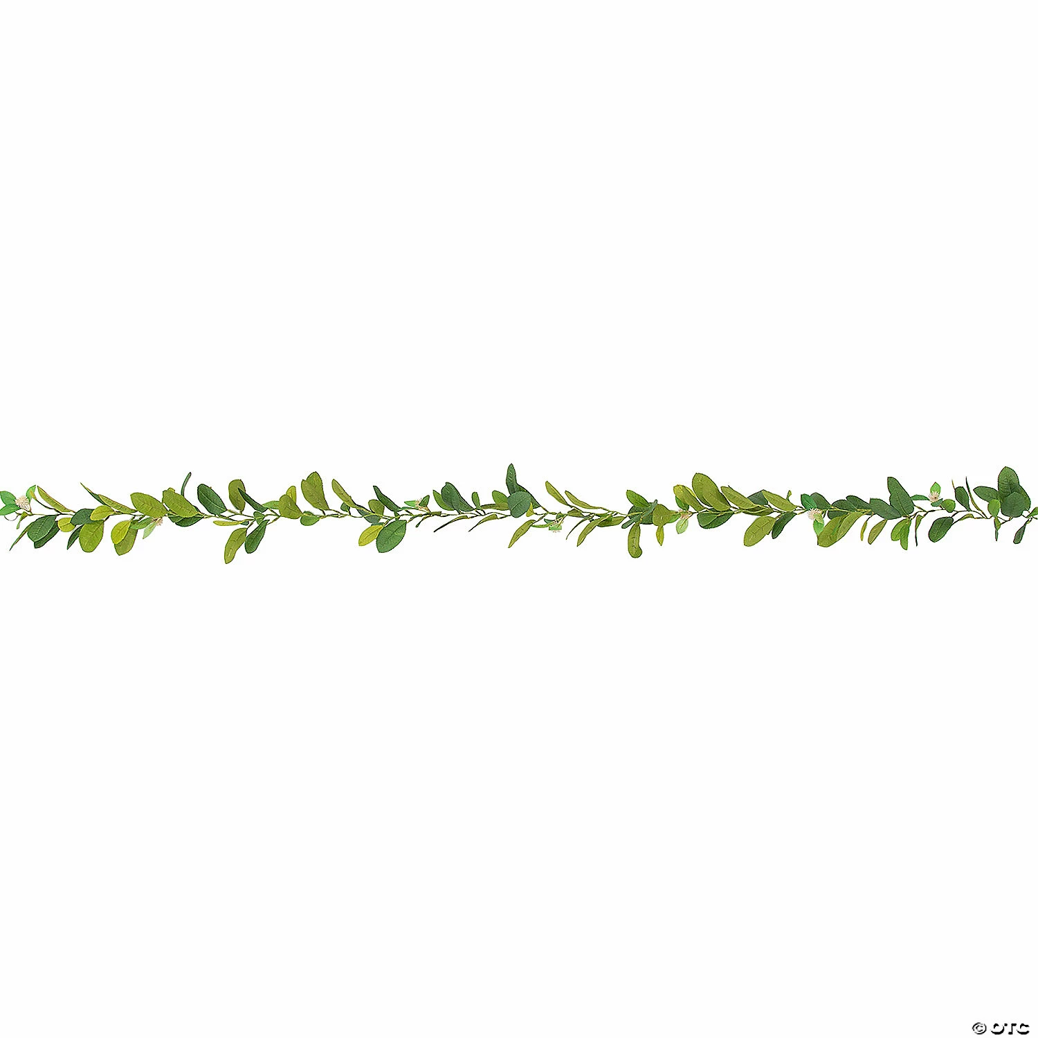 Coupon ๐คฉ Value Thistle Globe Garland ๐ 4 Coupon ๐คฉ Value Thistle Globe Garland ๐ - Image 2