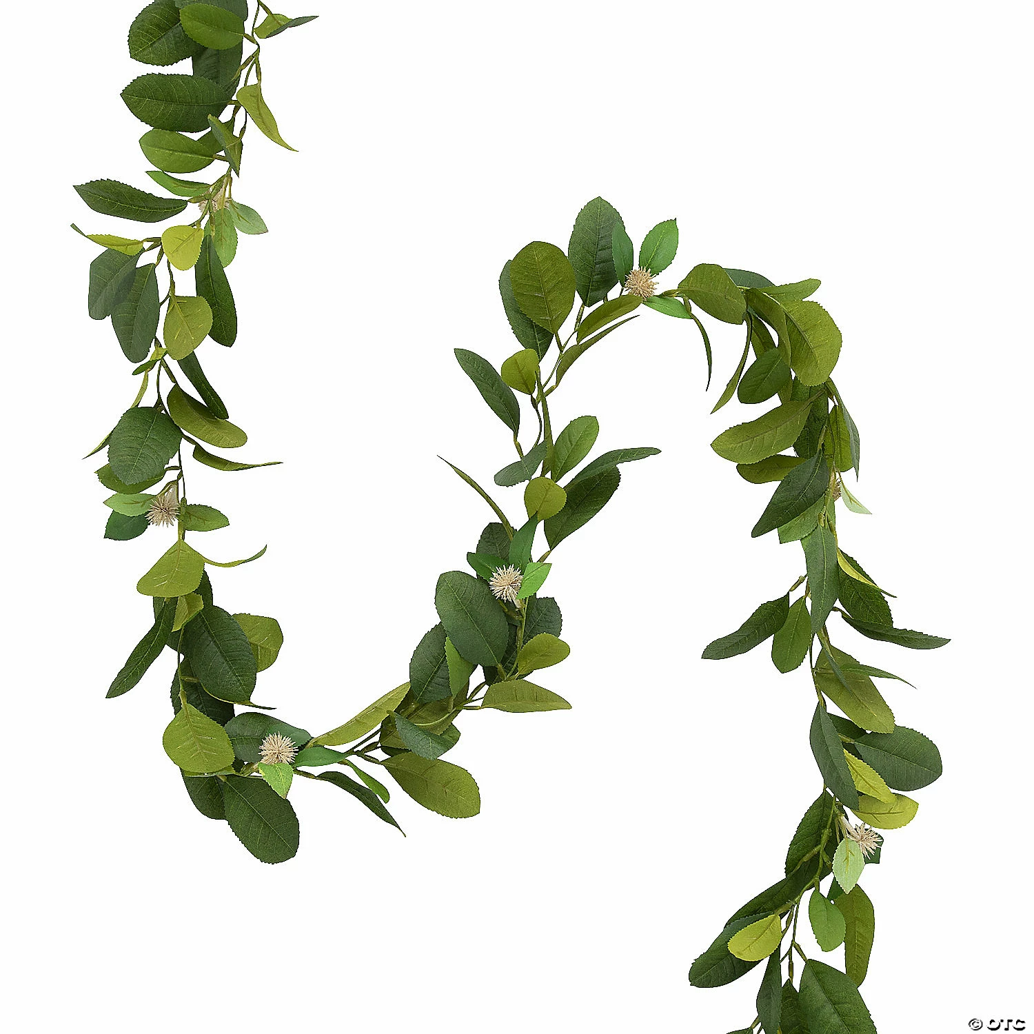 Coupon ๐คฉ Value Thistle Globe Garland ๐ 3 Coupon ๐คฉ Value Thistle Globe Garland ๐